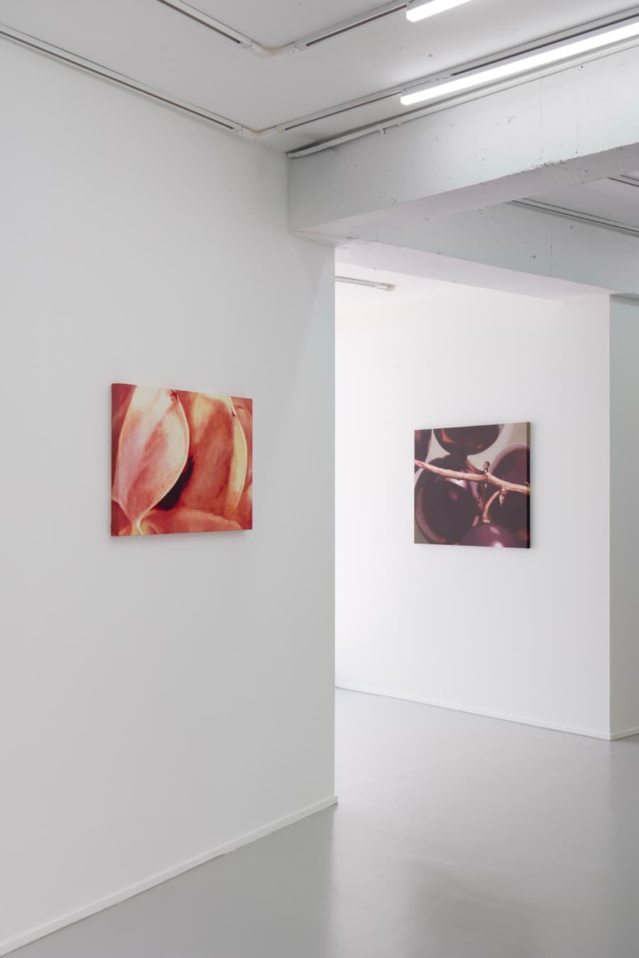 《문턱》 전시 전경. 꽃잎 회화와 그 뒤로 보이는 검붉은 열매 회화.